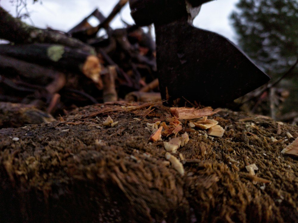 A chainsaw cutting through a tree trunk, sawdust spraying