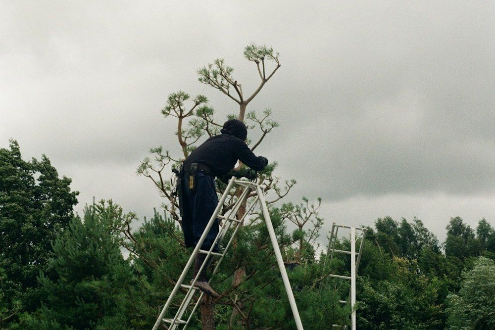 A climber in a helmet and safety glasses roped in against a trunk, reaching for a limb