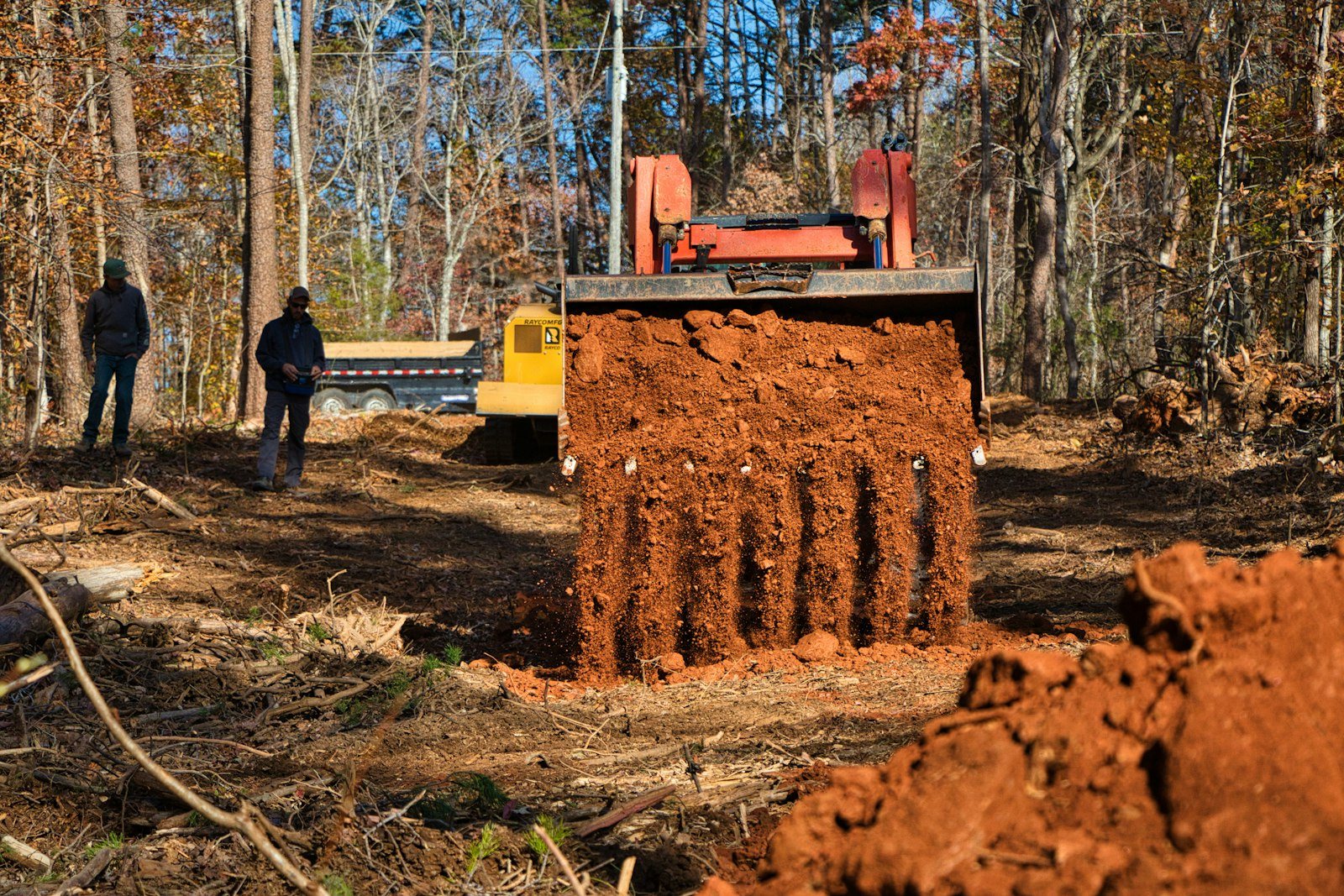 A worker in a hard hat, seen from behind, looking up into a tall hardwood on a front lawn