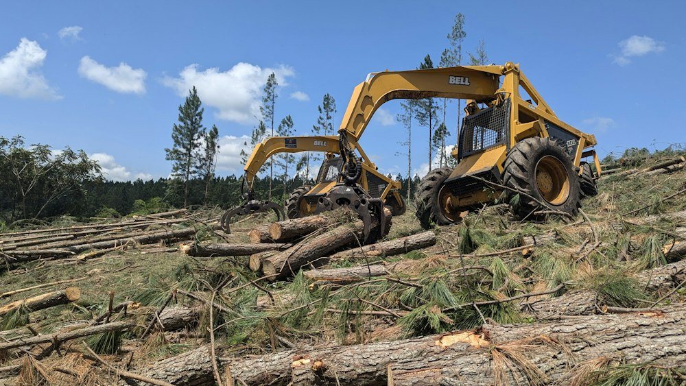 A mini excavator pulling stumps and brush on a partly cleared wooded lot