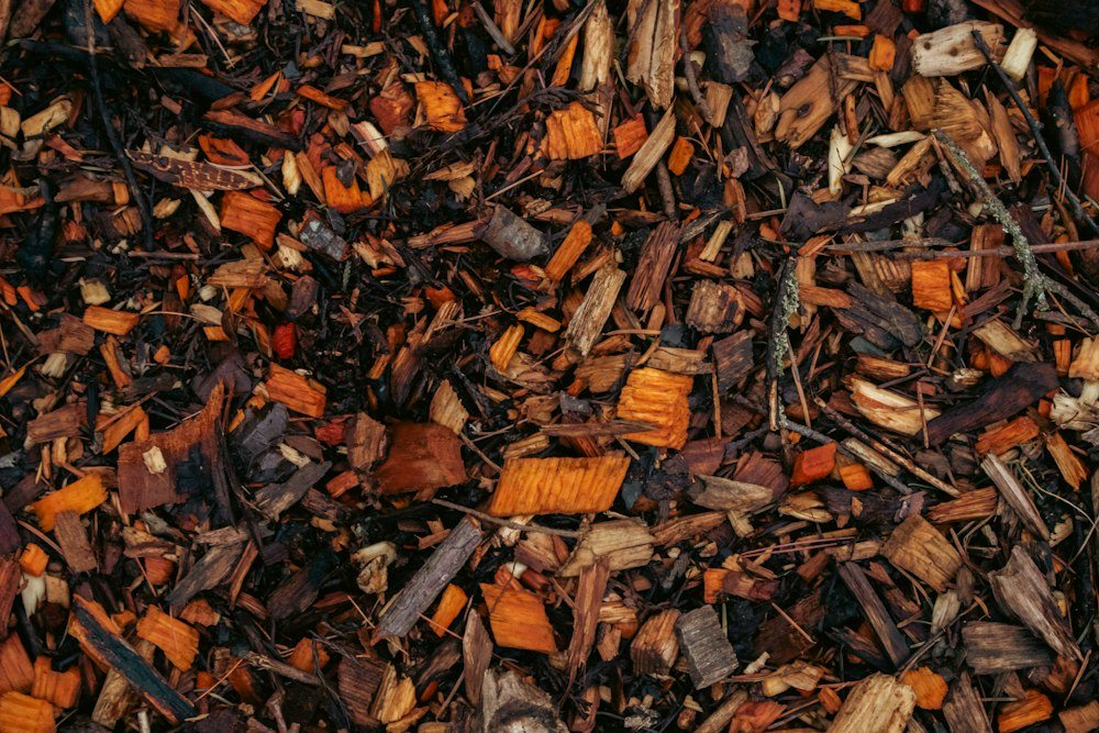 A close-up of fresh wood chips and stump grindings